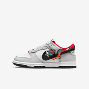 Buty Junior Nike Dunk Low FZ5528-101