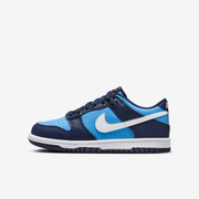 Buty Junior Nike Dunk Low HF0031-400